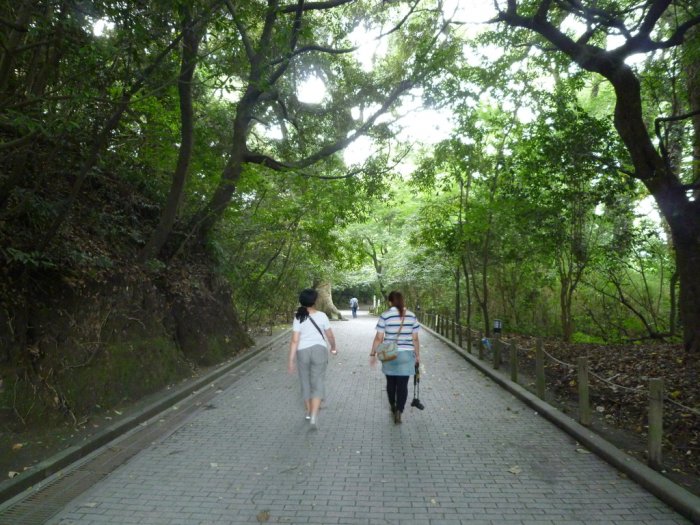 城山自然遊歩道 - 鹿児島県観光サイト/かごしまの旅